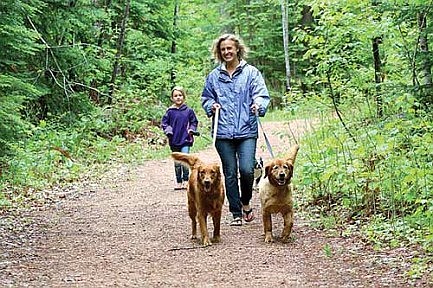 A day for the dogs