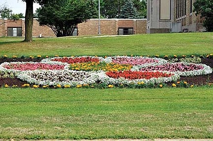 Photos: New flower bed 