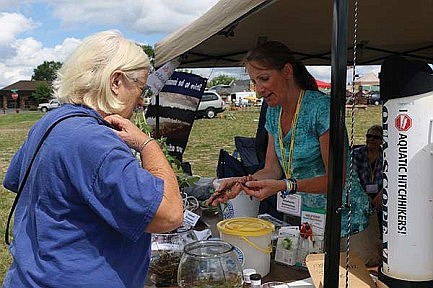 Community learns about invasive plants