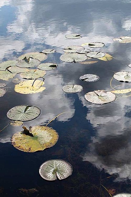 Photo detail
