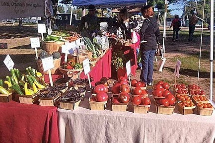 Fall brings big changes to the Hodag Farmers Market
