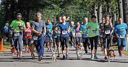 Jog for the dogs