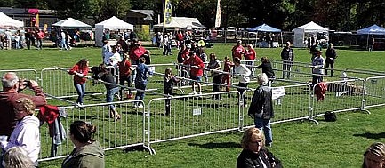 Human foosball tournament winners announced