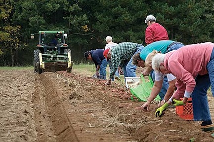 A night on the farm: Northwoods residents pick potatoes to fight hunger