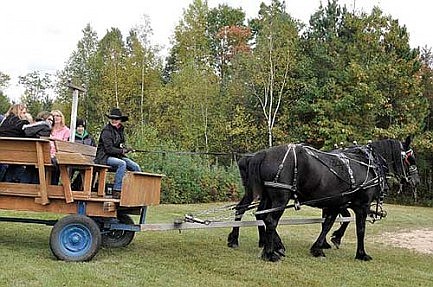 Harvest Hoedown draws a crowd
