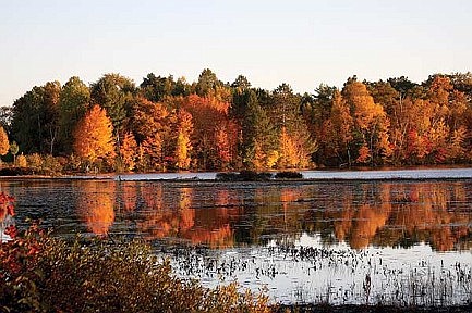 Autumn splendor