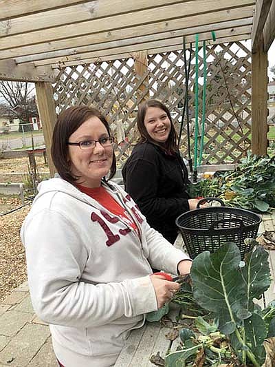 Park City Credit Union employees give back on Veterans Day