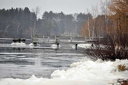 Winter scene