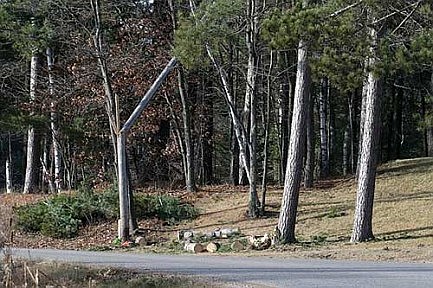 Photo detail