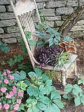 Dreaming of spring? Start planning your outdoor projects now
