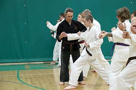 Martial artists learn different styles at seminar