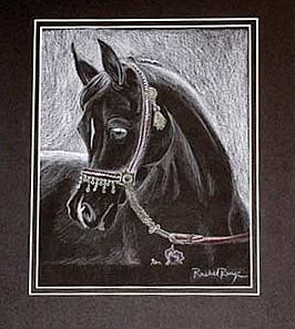 Helen Mears Art Contest winners announced 