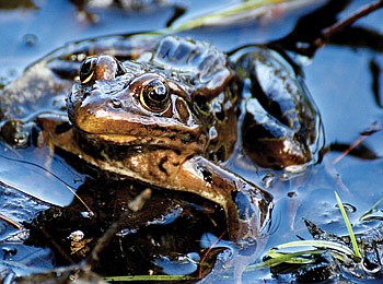 Photo detail