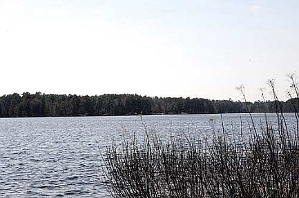 Invasive Impacts: Boom Lake and the Rhinelander Flowage