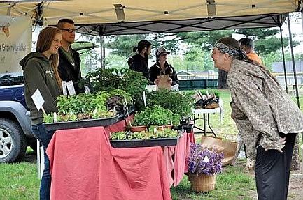 market fresh