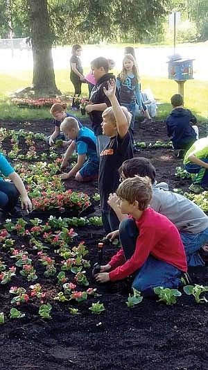 Central School continues tradition with 21st annual flower garden 