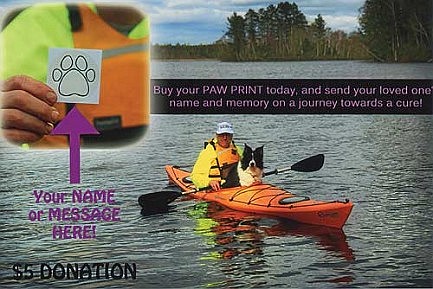 Paddle&#8200;Paws event to raise money for  American Cancer Society Bark for Life 