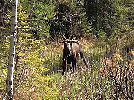 Rhinelander Area Chamber of Commerce  announces first winner of monthly photo contest