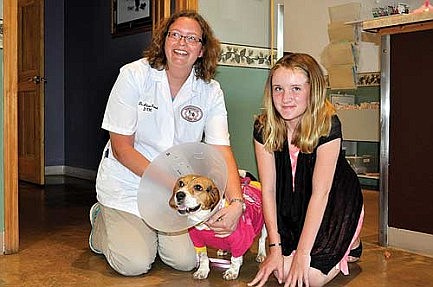 Love for Josie: Community rallies  around beagle dragged behind vehicle