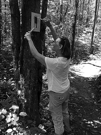 RASTA volunteers  do summer trail work 