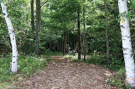 Boy Scout revives trail for Eagle Scout rank,  is on path to earn Hornaday Award