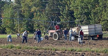 Public invited to pick rice and potatoes for the food pantry