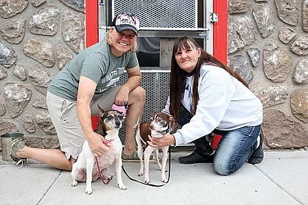 Bingo fundraiser  benefits It Matters  to One animal rescue