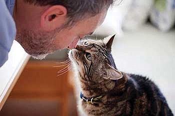 In-home services available  for pet euthanasia