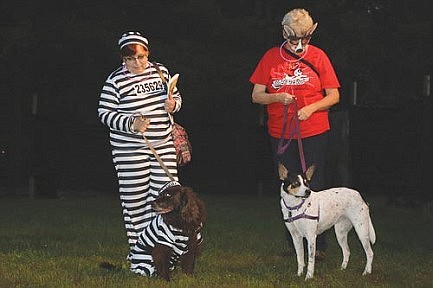 Halloween hounds