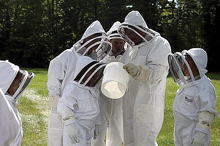 NPMS students test honeybee hives 