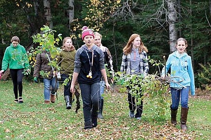 Bye-bye buckthorn