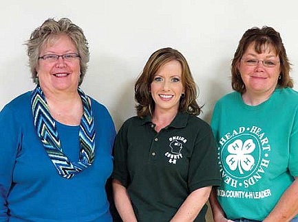 Oneida County 4-H club recognizes volunteers