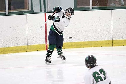 Youth hockey recap
