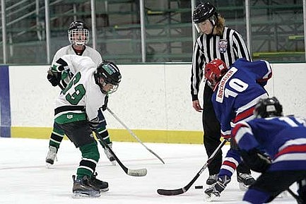 Youth hockey recap