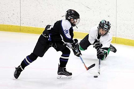 Youth hockey recap