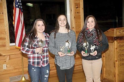 Hodag gymnasts honor achievements at team banquet 