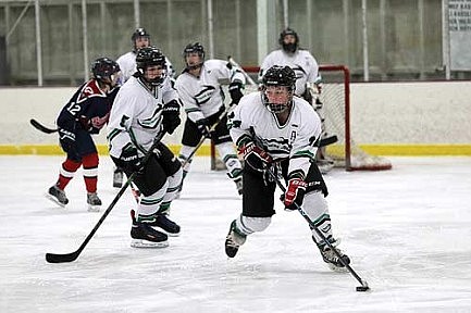 Team review:&#8200;RHinelander/Antigo girls' hockey