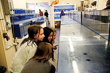An ocean's worth of learning:  Elcho students get hands-on look at LiveAquaria Aquaculture Coral and Aquatic Life Facility