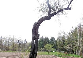 Lead photo