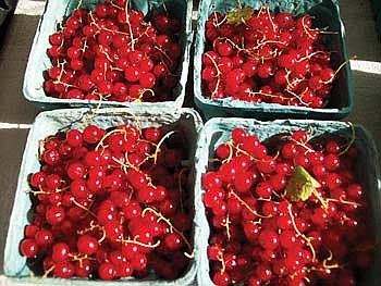 Currant jelly a farmers market fave