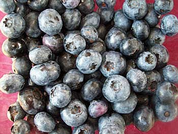 New vendors join Hodag Farmers Market