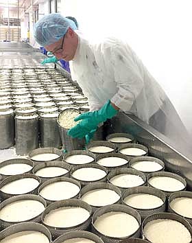 In-depth cheese tour  leaves lasting impression  on Nicolet grad, instructor