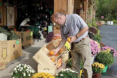 picking the perfect pumpkin