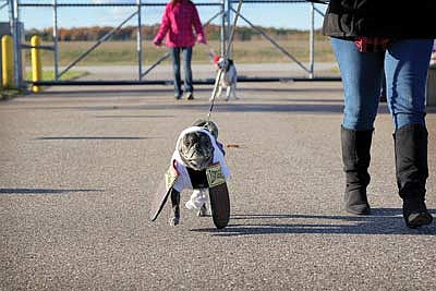 Third annual Bark in the Dark set for Oct. 21