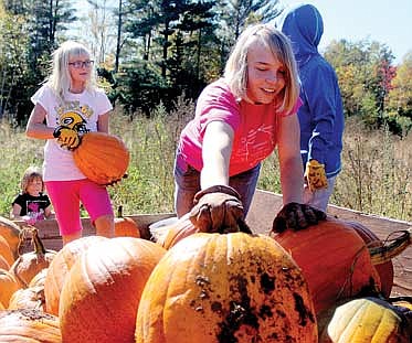 pumpkin pickers