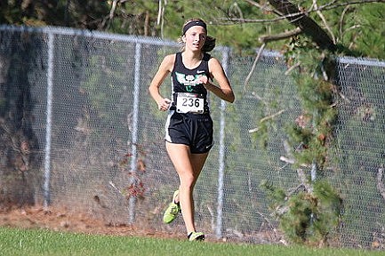 Hodags' Franson returns to state cross  country meet with strong sectional run