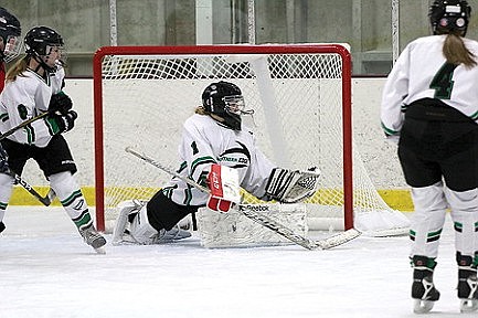Northern Edge solves goalie question in doubleheader  