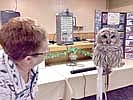 GFWC&#8200;Woman's club supports Wild Instincts