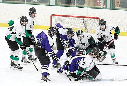 Mosinee downs Hodag hockey in playoff prelude