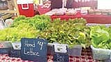 Golden beets and other vibrant vegetables